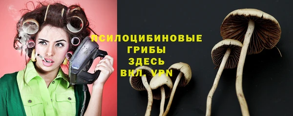 прущая мука Беломорск