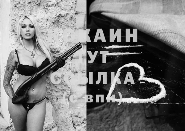 СК Белокуриха