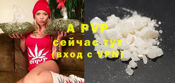 СК Белокуриха