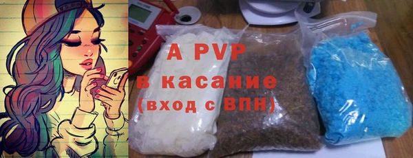 СК Белокуриха