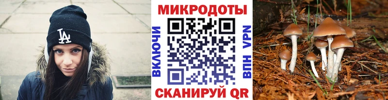 закладки Дальнегорск Галлюциногенные грибы мицелий